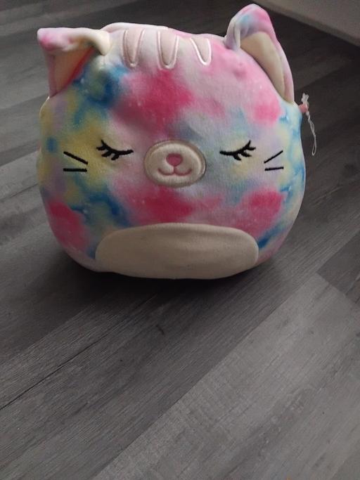 Buy & Sell Stow Heath Wolverhampton - Photos for Squishmallow.