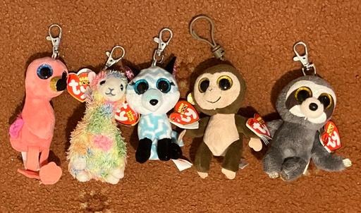 Buy & Sell Mansfield Town Centre Mansfield - Photos for 7x Beanie Boo clips (with tags)