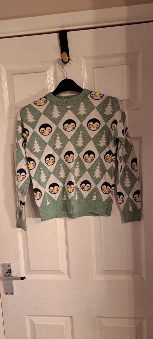 Buy & Sell Lower Gornal Dudley - Photos for Next xmas jumper