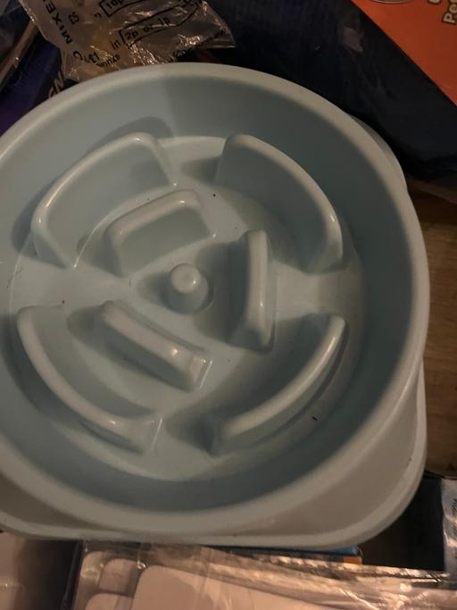 Buy & Sell Wednesfield Wolverhampton - Photos for New slow feeders dog bowls £1. Each