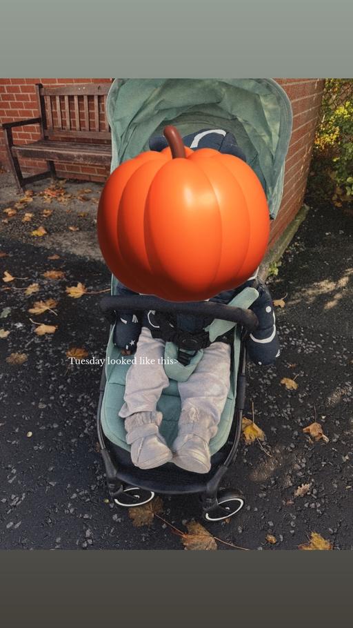 Buy & Sell Warton Fylde - Photos for Puggle City Travel Compact Fold Stroller