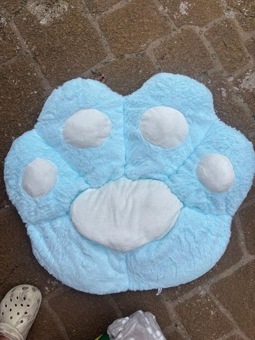 Buy & Sell Princes End Sandwell - Photos for Fluffy cat bed