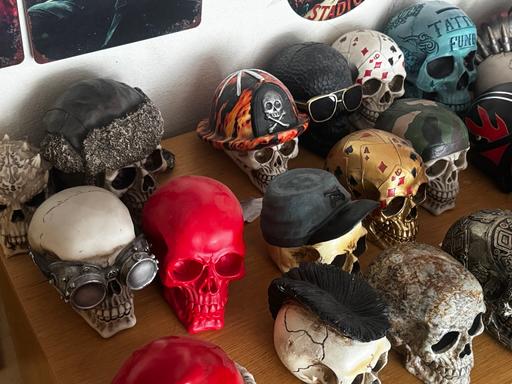 Buy & Sell Selhurst South East London - Photos for Skull