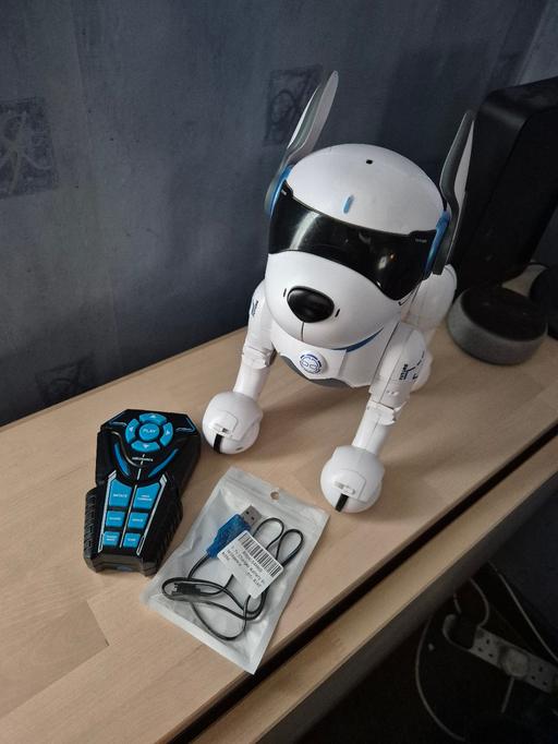 Buy & Sell Dagenham Barking and Dagenham - Photos for Ziggy The Robo Dog