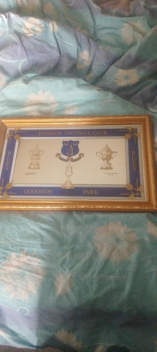 further learning Woodchurch Wirral - Photos for Everton