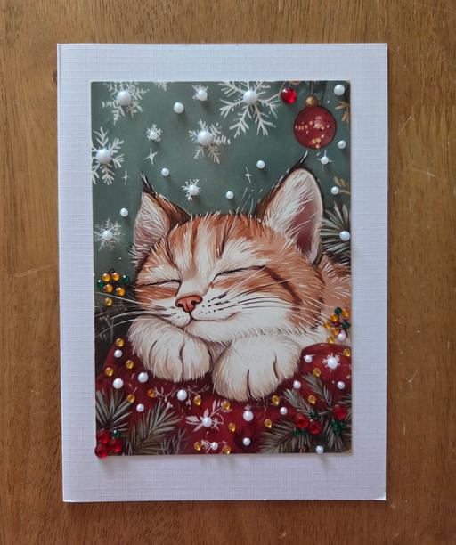 further learning Westgate-on-Sea Thanet - Photos for HANDMADE CAT XMAS CARD8