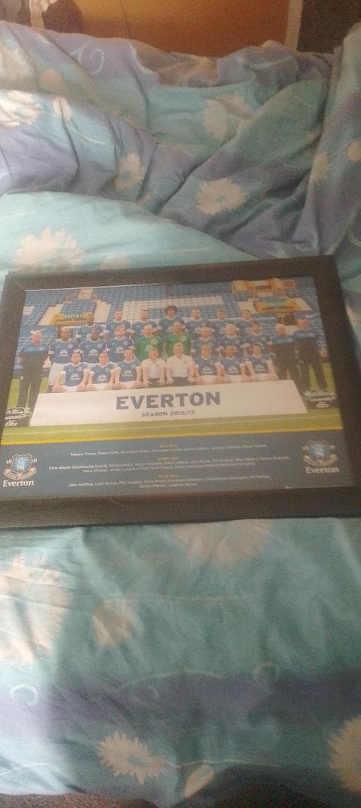 Buy & Sell Woodchurch Wirral - Photos for Everton