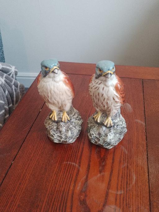 Buy & Sell Seaton Carew Hartlepool - Photos for Beswick England kestrel beneagles