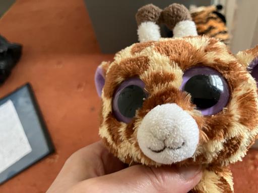 Buy & Sell Mansfield Town Centre Mansfield - Photos for RARE 2010 Beanie Boo ‘Safari’