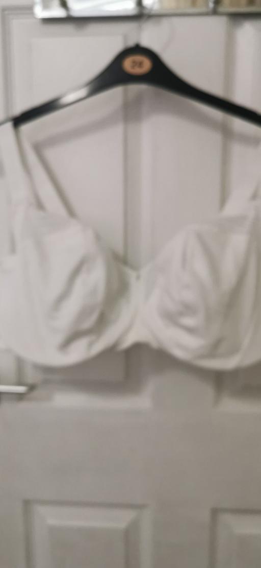 Buy & Sell Dalton-Le-Dale County Durham - Photos for LADIES PLUS SIZE BRA 46GG NEVER BEEN WORN