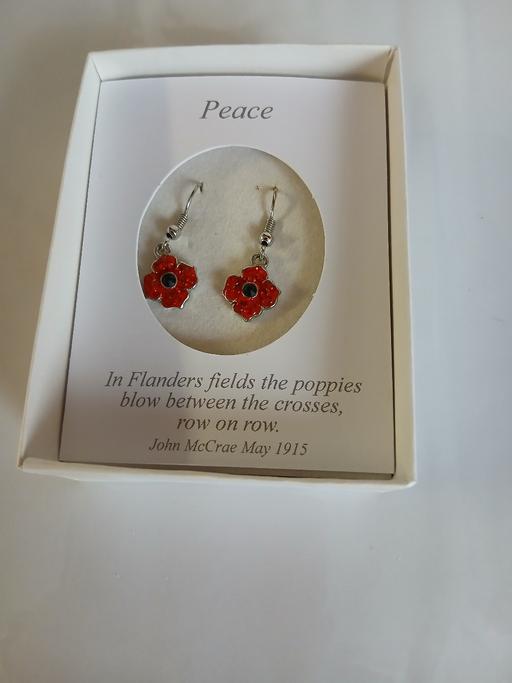 Buy & Sell Skegness East Lindsey - Photos for poppy silver earings
