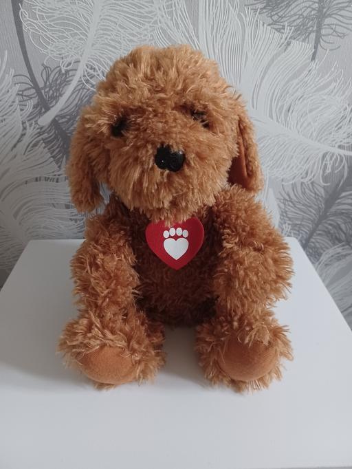 Buy & Sell Eckington North East Derbyshire - Photos for waffle the wonder dog