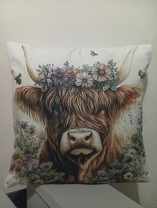 Buy & Sell Rawmarsh Rotherham - Photos for cushion