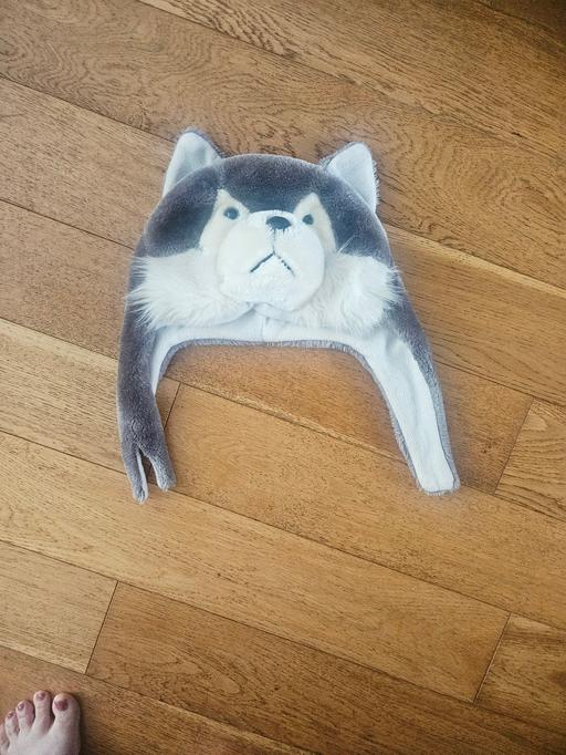 Buy & Sell Newton Doncaster - Photos for Animal design hat.