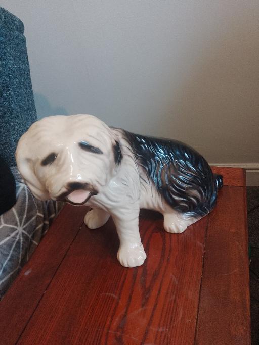 Buy & Sell Throston Hartlepool - Photos for Large vintage ceramic old English sheepdog.
