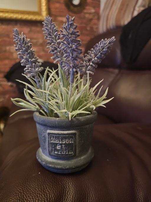Buy & Sell Pensnett Dudley - Photos for SMALL ARTIFICIAL LAVENDER