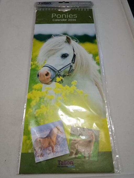 Buy & Sell Horncastle East Lindsey - Photos for brand new ponies 2026 calendar