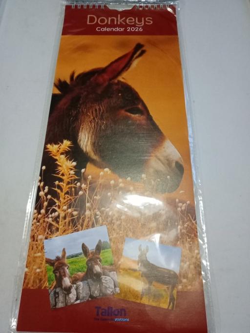 Buy & Sell Horncastle East Lindsey - Photos for brand new 2026 Donkeys calendar