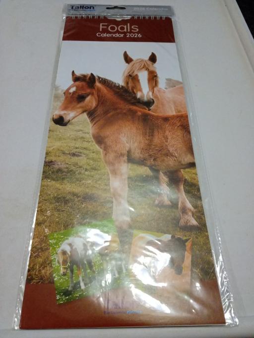 Buy & Sell Horncastle East Lindsey - Photos for £1 SALE ITEM