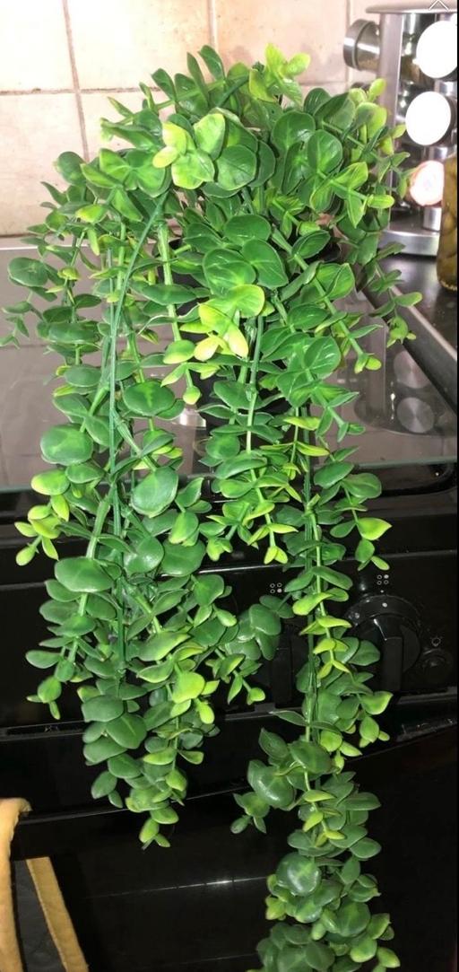 Buy & Sell Bilston Wolverhampton - Photos for Artificial hanging plant