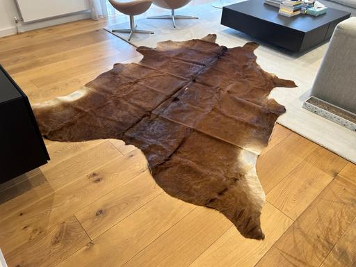 Buy & Sell Pentonville North London - Photos for Cow hide Argentinian rug