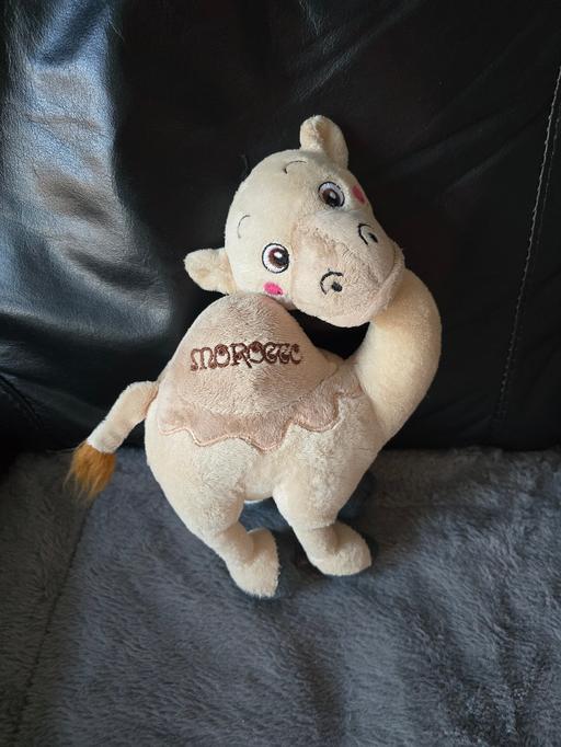 Buy & Sell Rowley Regis Sandwell - Photos for plush morocco Camel 🐫