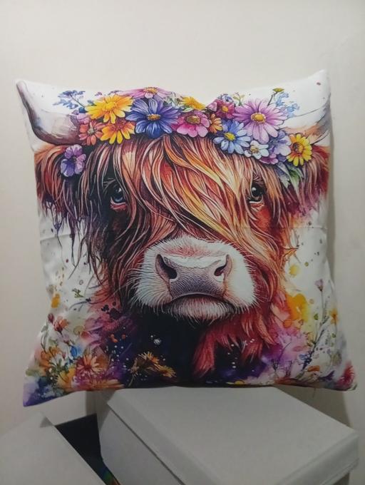 Buy & Sell Parkgate Rotherham - Photos for cushion