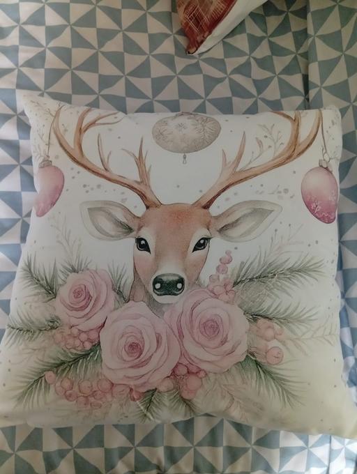 Buy & Sell Parkgate Rotherham - Photos for cushion