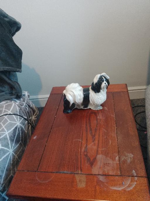 Buy & Sell Throston Hartlepool - Photos for Coopercraft Shih tzu figurine.