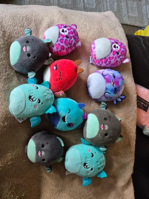 Buy & Sell Hayley Green Dudley - Photos for 10 x Squashmallows