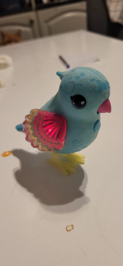 Buy & Sell Radcliffe Bury - Photos for toy bird