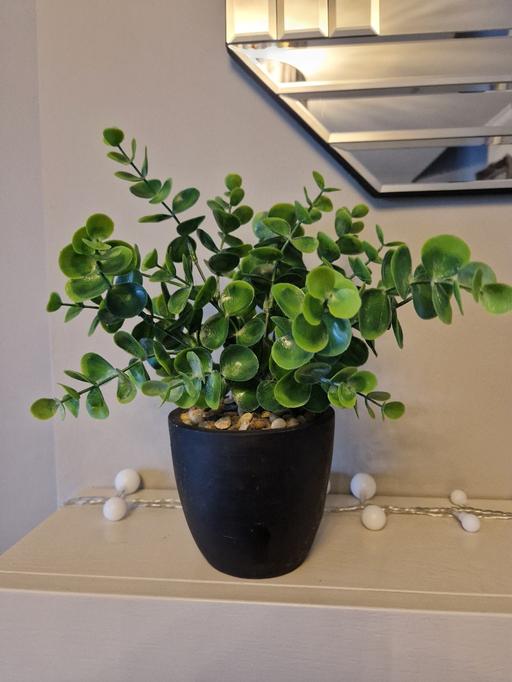 Buy & Sell Burngreave Sheffield - Photos for Artificial plant with pot plant pot