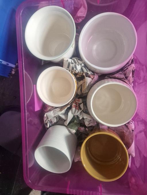 Buy & Sell Pellon Calderdale - Photos for pots