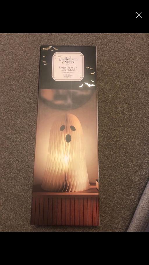 Buy & Sell Rainstorth Rotherham - Photos for Light up decoration 30x50cm