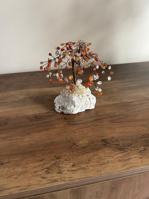 Buy & Sell Dudley Port Sandwell - Photos for Crystal orange tree