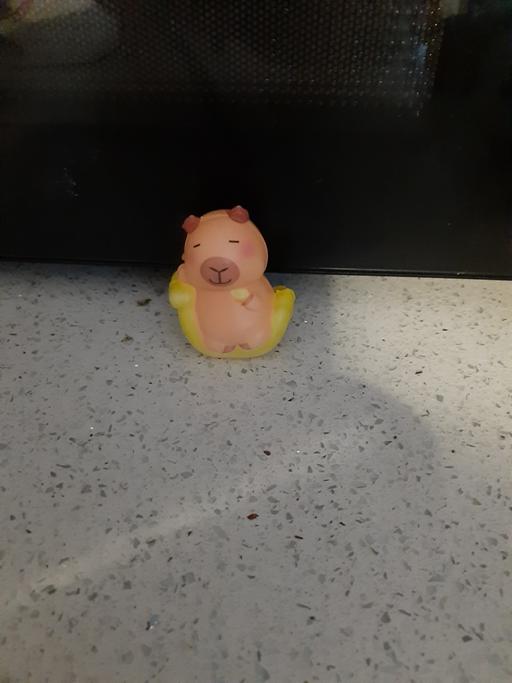 Buy & Sell South Hylton Sunderland - Photos for squishy