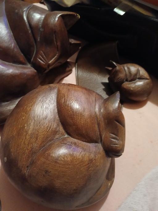 Buy & Sell Netherton Dudley - Photos for big heavy sleeping cats