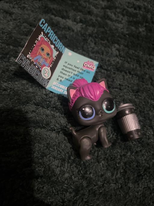 Buy & Sell Conisbrough Doncaster - Photos for lol pet and accessories