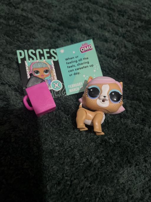 Buy & Sell Cadeby Doncaster - Photos for lol pets and accessories