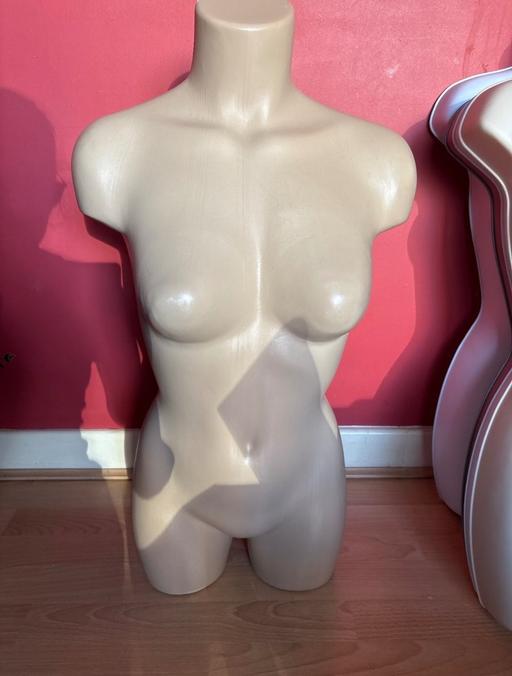 further learning Croydon Croydon - Photos for Female mannequin