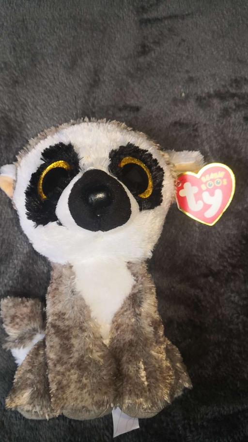 Buy & Sell Arleston Telford and Wrekin - Photos for Ty beanie boo