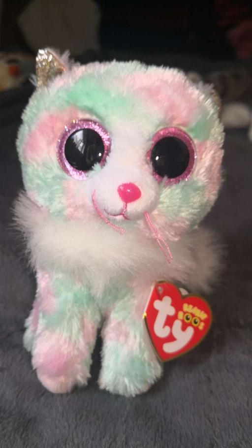 Buy & Sell Arleston Telford and Wrekin - Photos for ty beanie boo