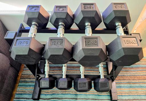 Buy & Sell Farcet Huntingdonshire - Photos for 8 X Dumbells With Pro Fitness Rack - 8kg X 2