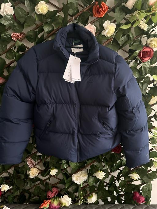 Buy & Sell Sundon Luton - Photos for Lacoste insulated jacket size 34