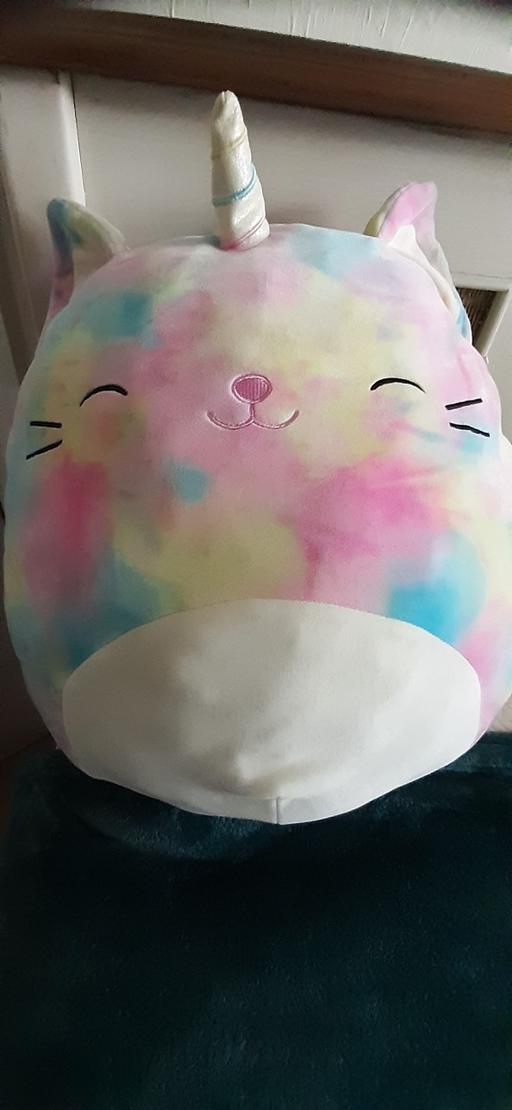 Buy & Sell Allesley Coventry - Photos for large squishmallow