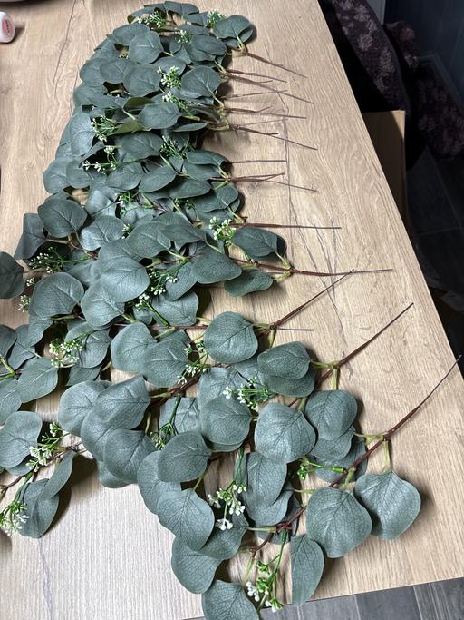 Buy & Sell Duckmanton Chesterfield - Photos for X20 faux eucalyptus stems