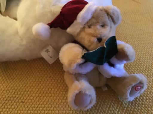 Buy & Sell Essington Wolverhampton - Photos for Story telling Santa bear