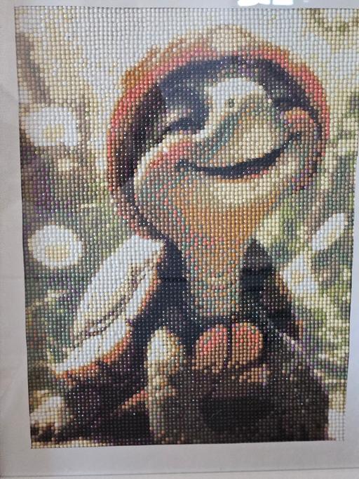 Buy & Sell Dalton-Le-Dale County Durham - Photos for turtle diamond art picture