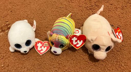 Buy & Sell Forest Town Mansfield - Photos for 3x mini Beanie Boos with tags