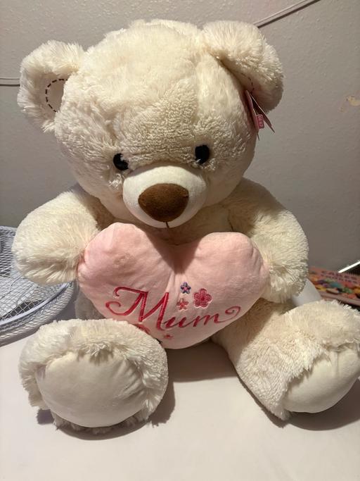 Buy & Sell South Hackney East London - Photos for Mum teddy bear